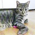 c0025840_1548394.jpg