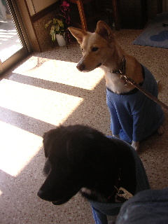 c0065643_9112161.jpg