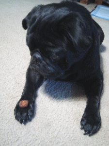b0035453_6124956.gif
