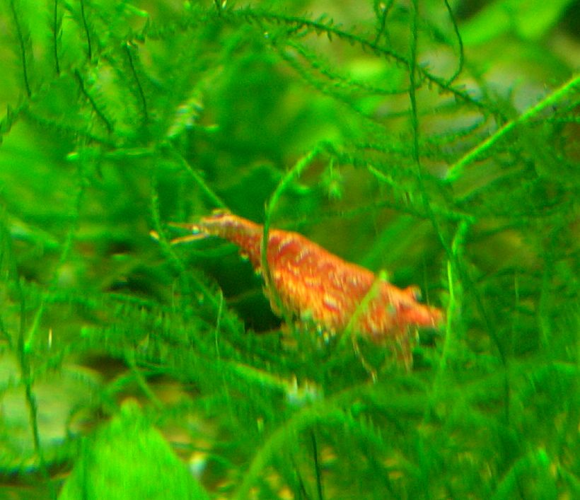 e0072757_23453842.jpg