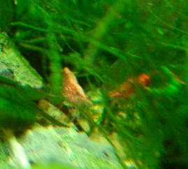 e0072757_23493412.jpg