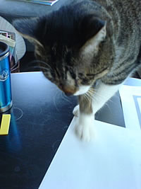 c0035001_1120103.jpg