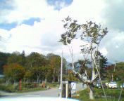 d0052515_13312744.jpg