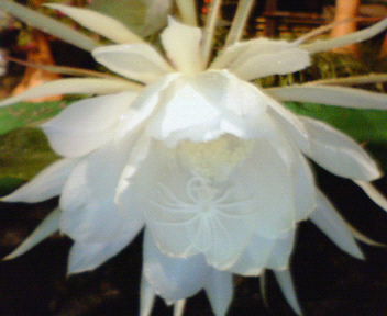 b0052816_21205383.jpg