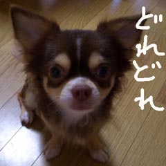 c0036617_862094.jpg