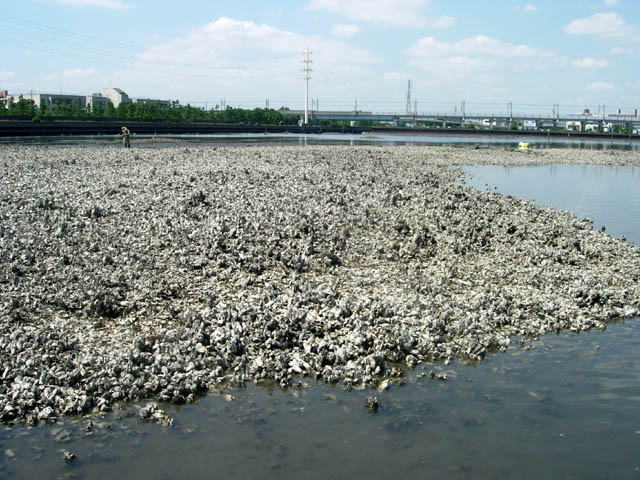 d0041331_140284.jpg