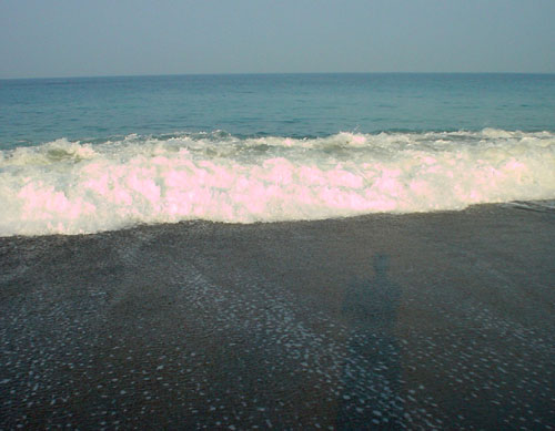 b0042548_781030.jpg