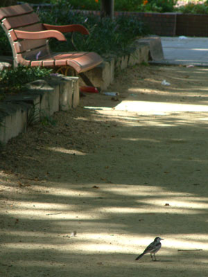 c0050264_12423356.jpg