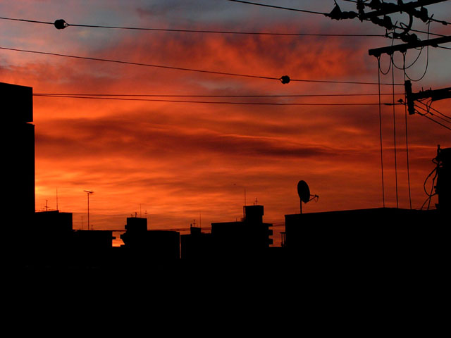 d0034980_6372073.jpg