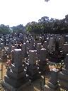 e0060483_21525737.jpg