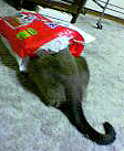 c0016987_127134.jpg
