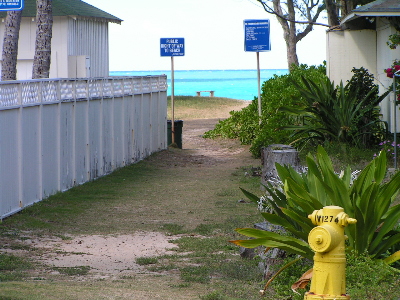 d0032693_156754.jpg