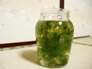 e0040602_2025828.jpg