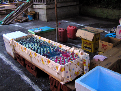 e0066210_2281764.jpg