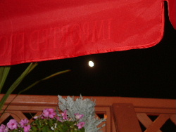 c0039813_26529.jpg