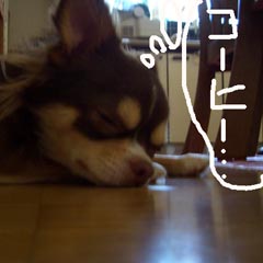 c0036617_6542057.jpg