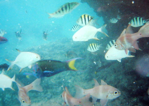 d0017632_8465911.jpg