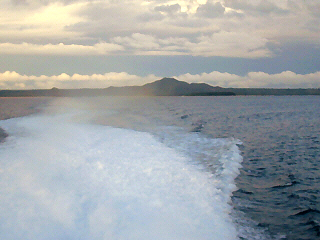 d0017632_858437.jpg