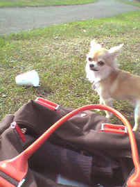 c0052933_17511323.jpg