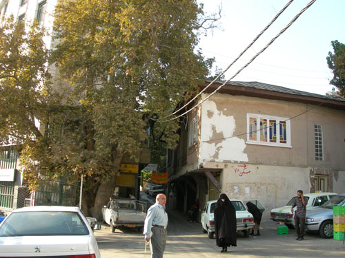 b0006449_2254486.jpg