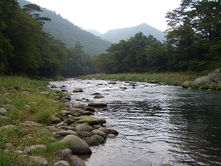 e0019550_21581987.jpg