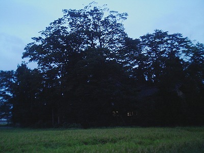 a0007552_23172450.jpg