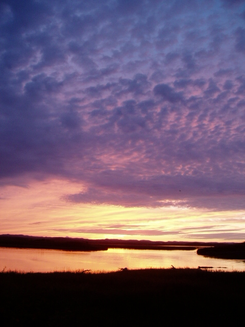 d0018763_611752.jpg