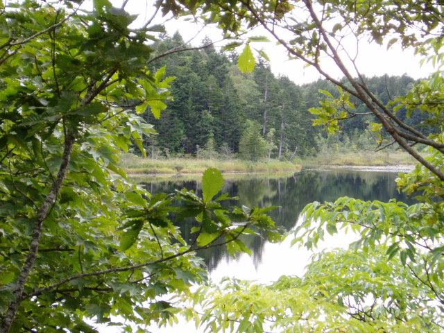 d0018763_685939.jpg