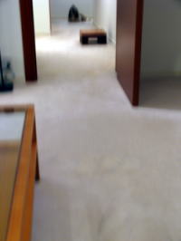 c0038983_12321232.jpg