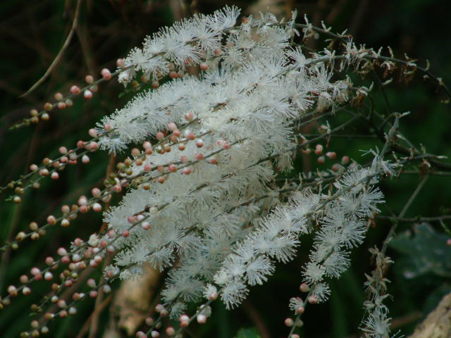 b0044296_21202985.jpg
