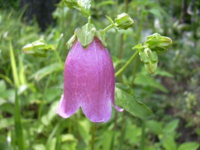 d0059226_9143975.jpg