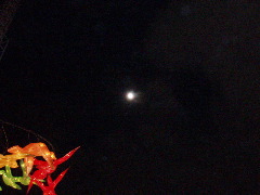 a0038129_18521741.jpg