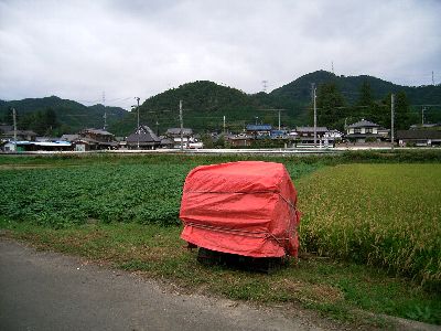 c0072843_19154469.jpg