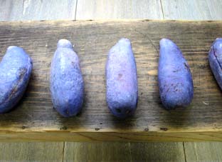 e0060452_9415338.jpg
