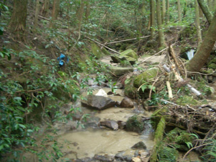 b0002156_030512.jpg