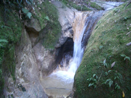b0002156_0305966.jpg