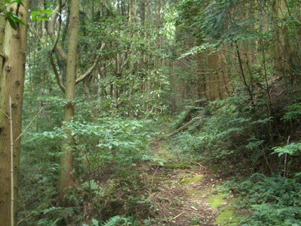 b0002156_0311784.jpg