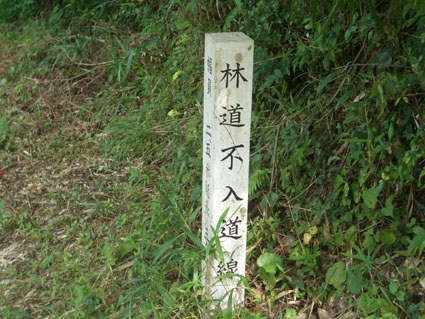 b0002156_03195.jpg
