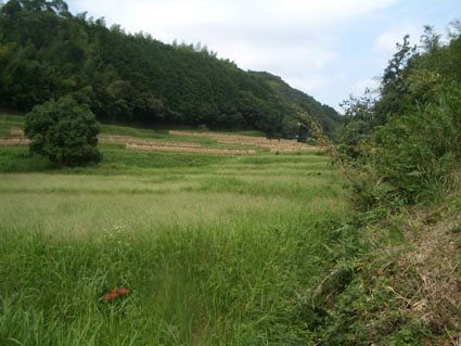 b0002156_0343823.jpg