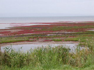 e0004756_2119747.jpg