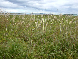 e0004756_21212558.jpg