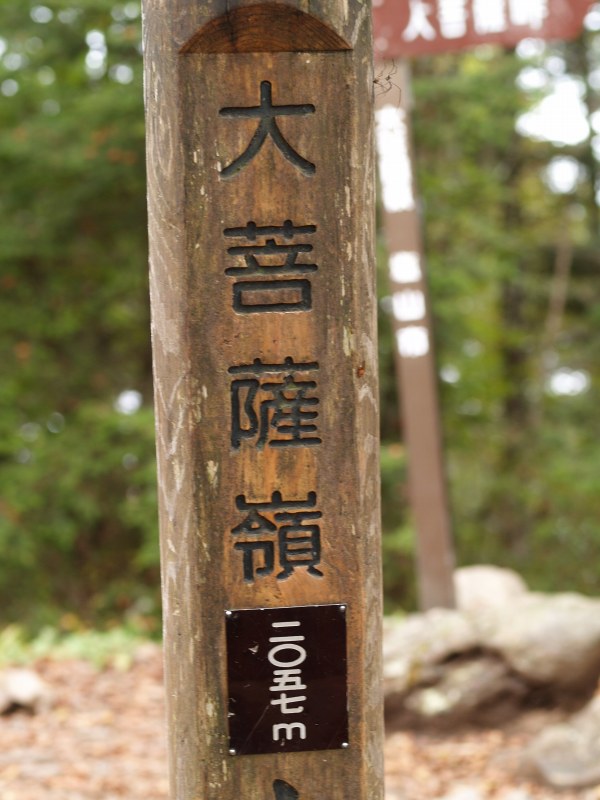 d0025568_8434187.jpg