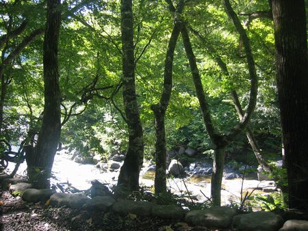 e0081184_14475998.jpg