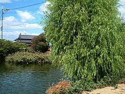 d0001300_19113531.jpg