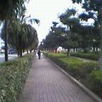 e0039100_1227792.jpg