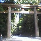 e0039100_1265622.jpg