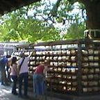 e0039100_1275743.jpg