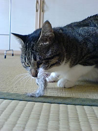 c0035001_1128177.jpg