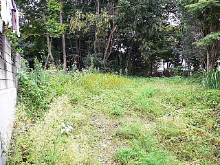 c0039501_18252377.jpg