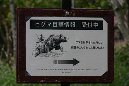 b0026110_239071.jpg
